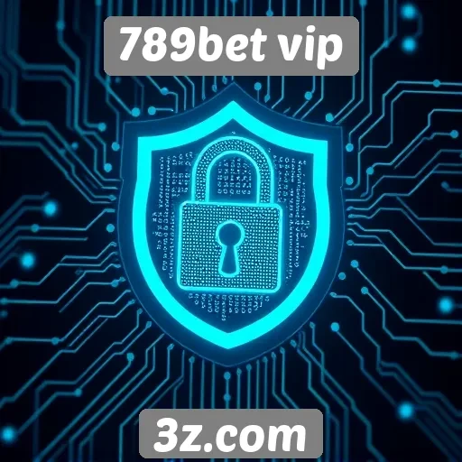 Segurança e proteção de dados no 789bet vip